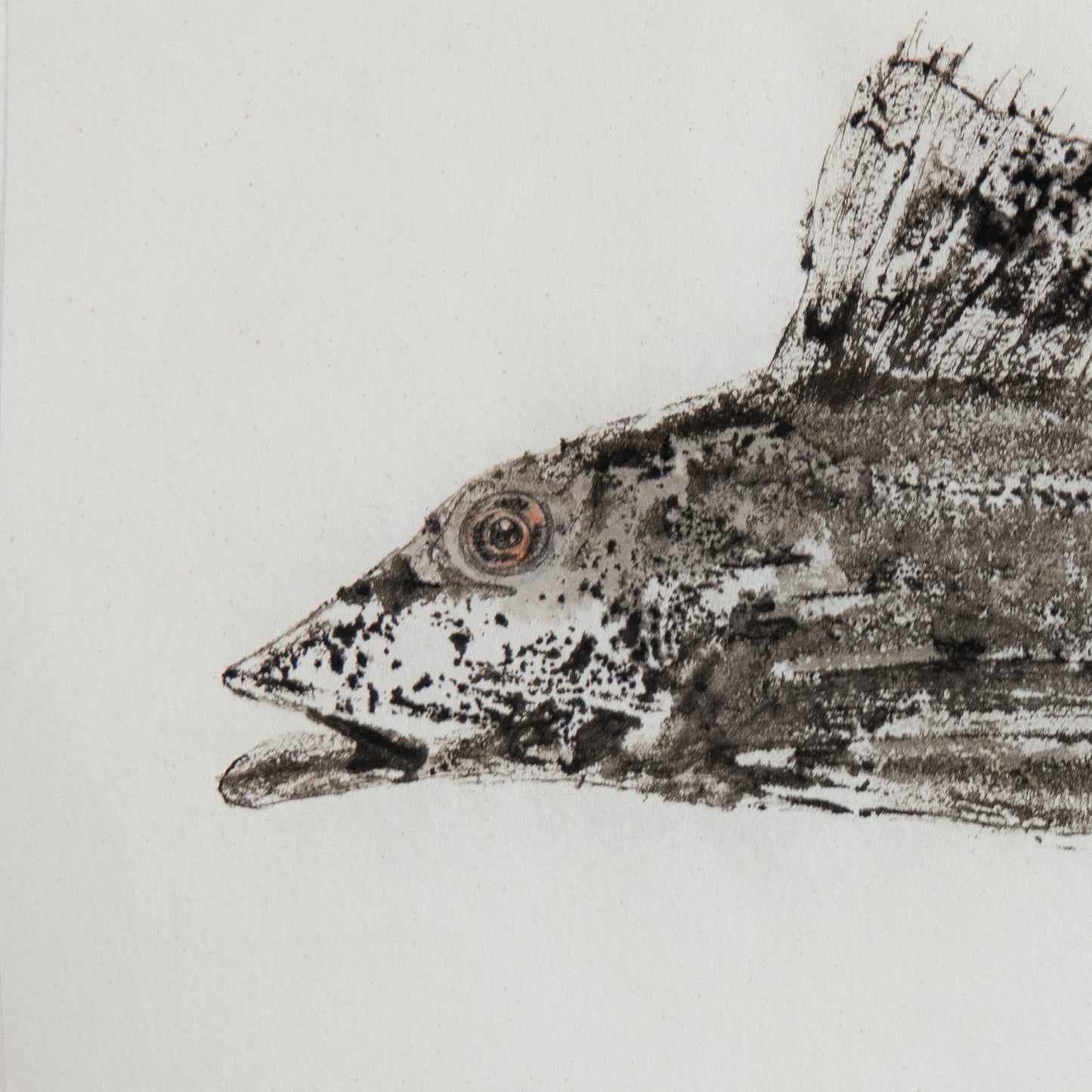 Gyotaku grondin