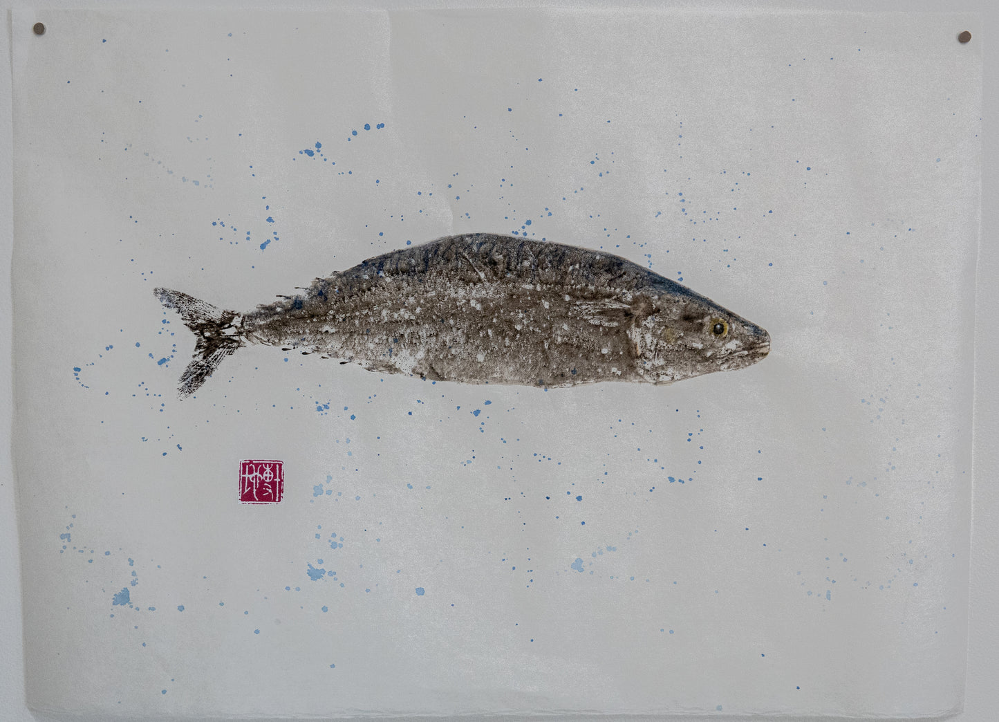 Gyotaku maquereau