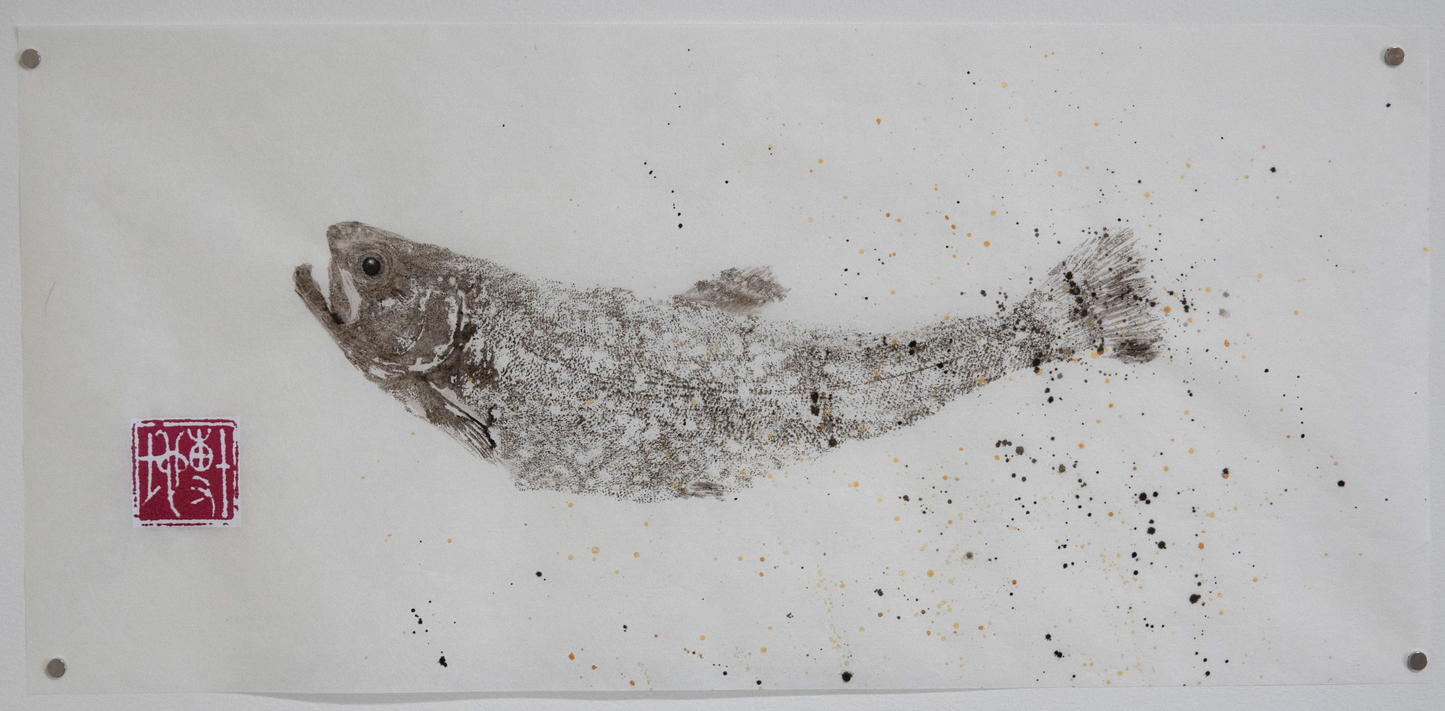 Gyotaku truite